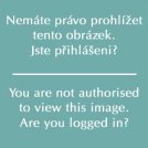 151220terezaS8